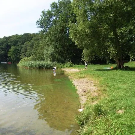 بيت للعطل In Wittend Rp Ot Pogress *