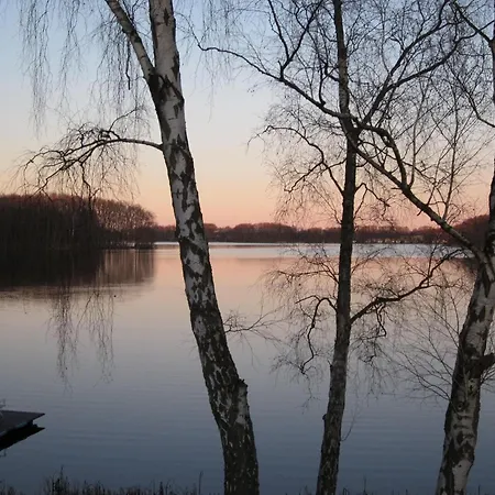 In Wittend Rp Ot Pogress * Wittendorp