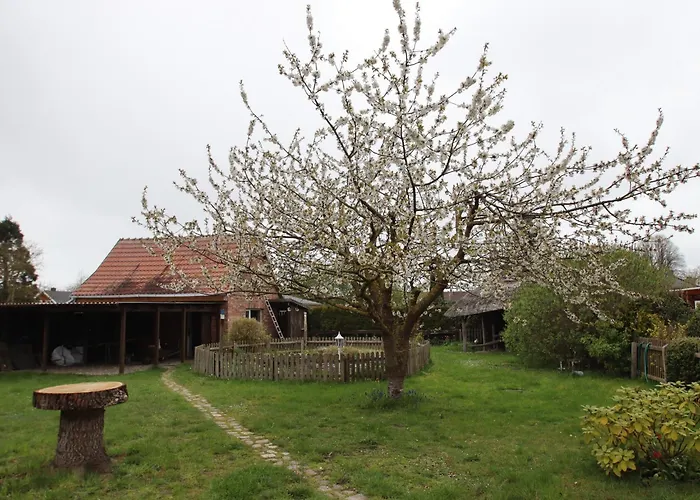 In Wittend Rp Ot Pogress Vakantiehuis *