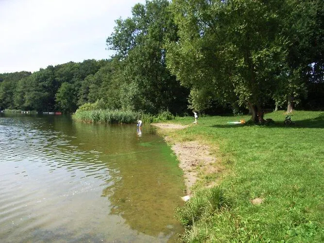 Vakantiehuis In Wittend Rp Ot Pogress *