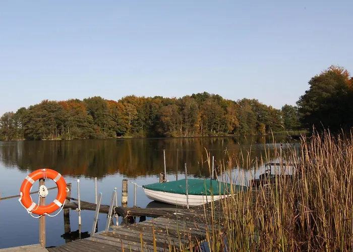 In Wittend Rp Ot Pogress Vakantiehuis Wittendorp