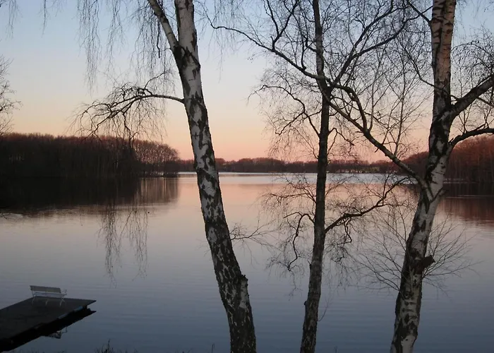 In Wittend Rp Ot Pogress * Wittendorp